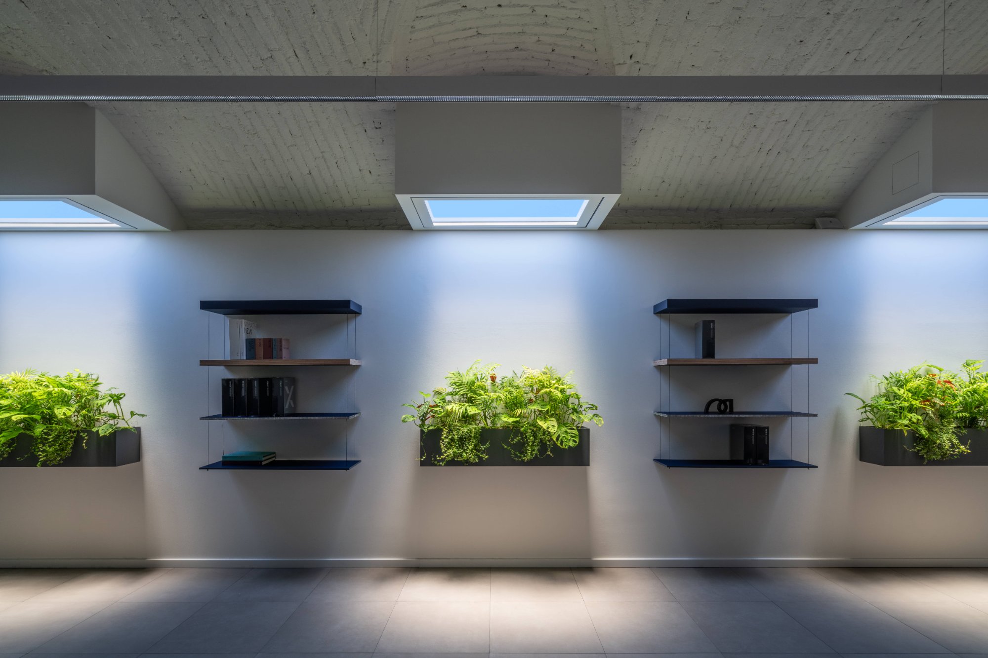 CoeLux HT25 Fenix Showroom