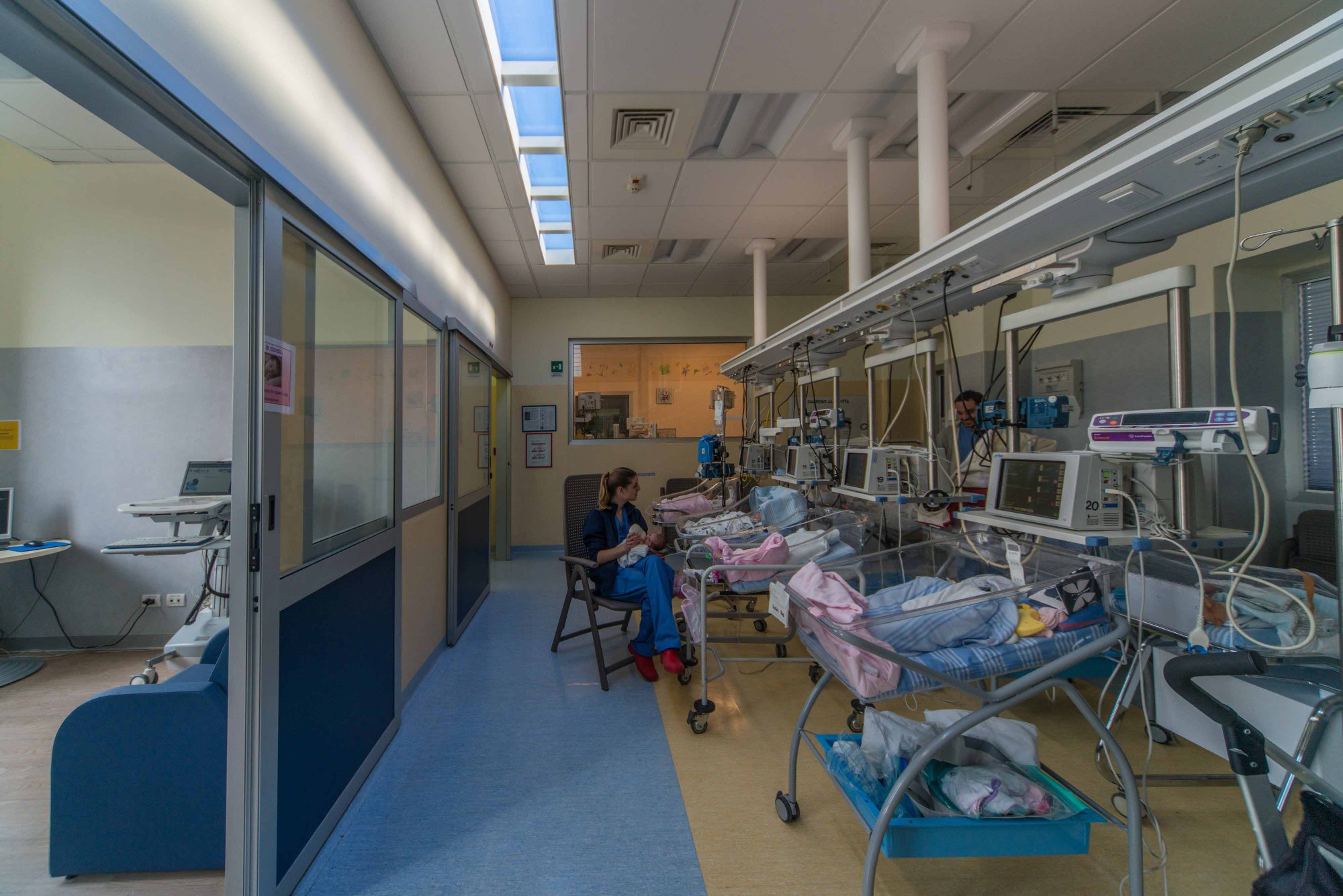 Espace bureau avec plantes